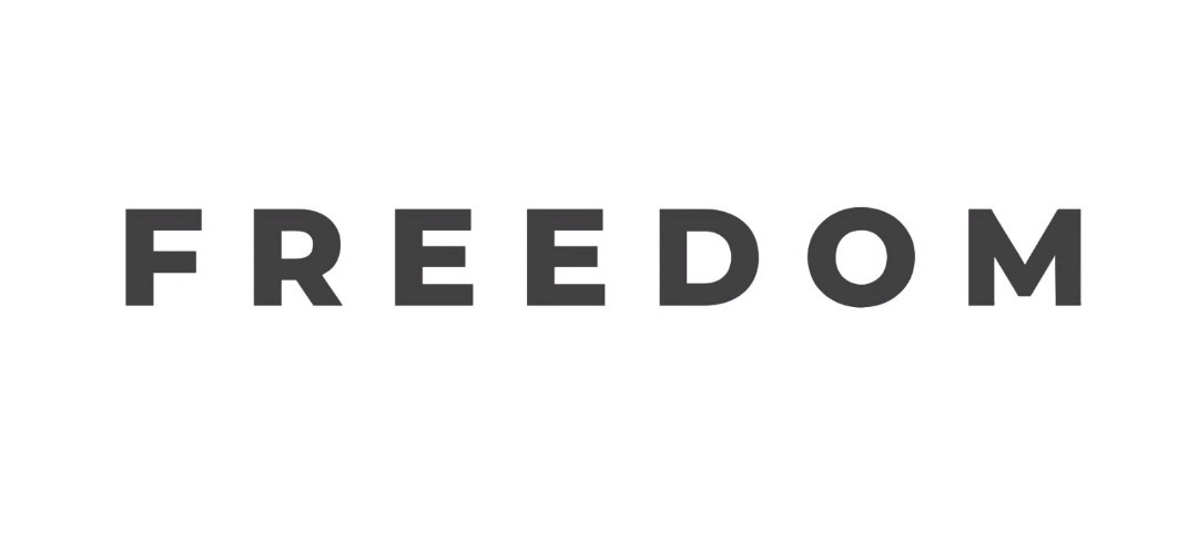 (2) FREEDOM Decal Vinyl Transfer Sticker Die Cut Car Window Laptop Charlie Kirk