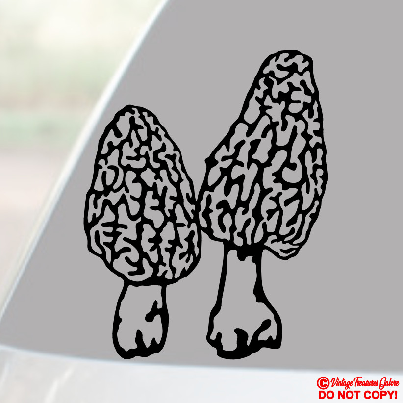 MORCHELLA TRUE MOREL MUSHROOMS Vinyl Decal Sticker Car Truck Window Wall Bumper