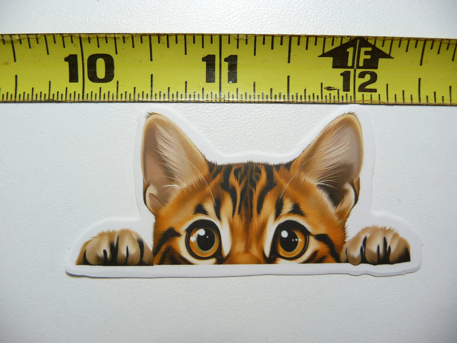 PEEKING BENGAL SMALL STICKER DECAL CAT KITTEN PET LOVE PEEK A BOO