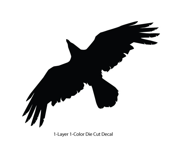 Wildlife – Birds – Soaring Raven/Crow/Corvid – 6Yrs Outdoor Vinyl DieCut Sticker