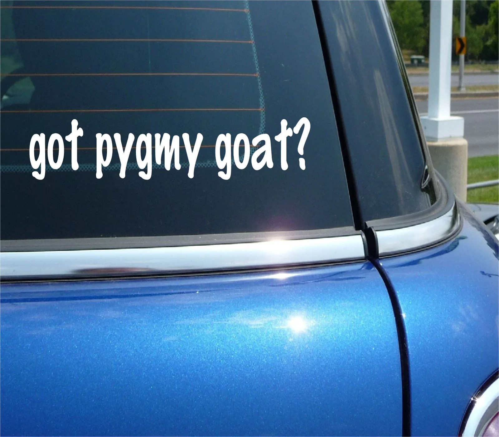 got pygmy goat? CAR DECAL BUMPER STICKER VINYL FUNNY JOKE WINDOW