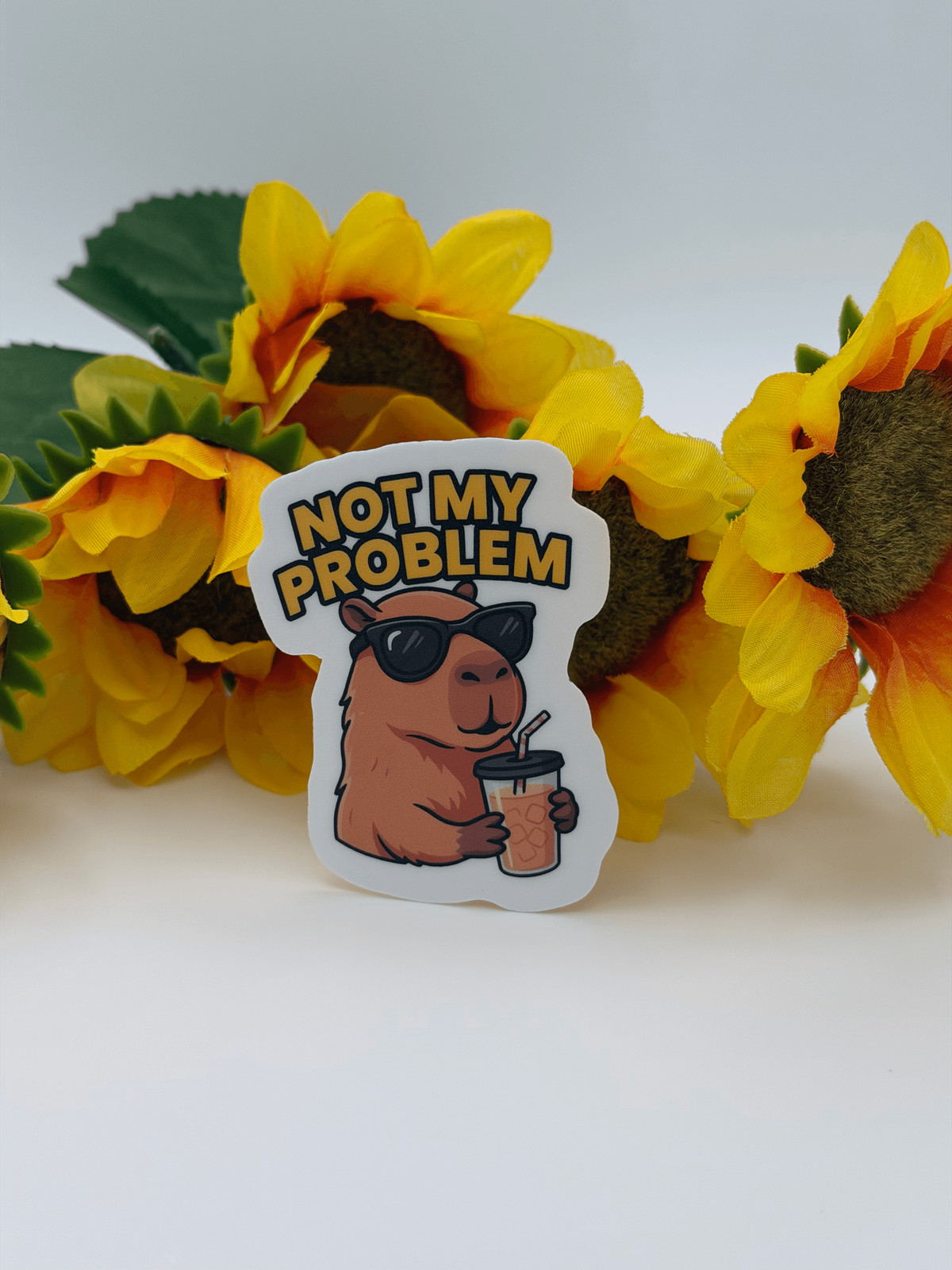 Funny Capybara Vinyl Sticker Decal – Not My Problem
