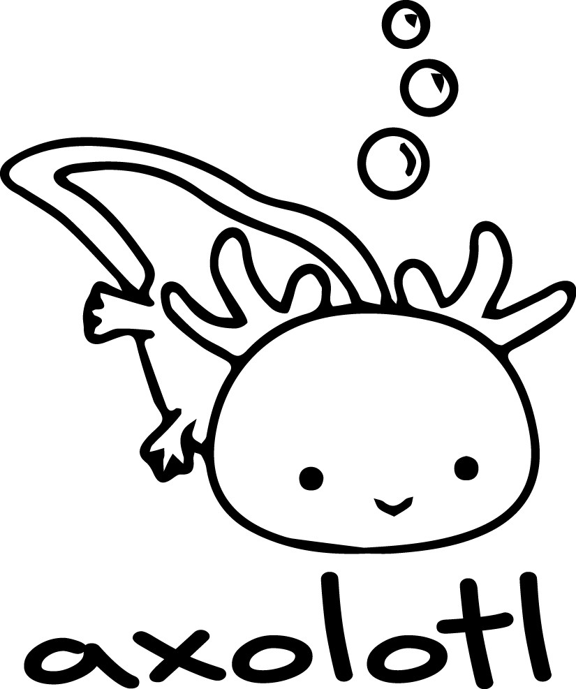 5" Axolotl Decal Sticker Car Window Wall Graphic Pet Fish Lizard Love Decor Home