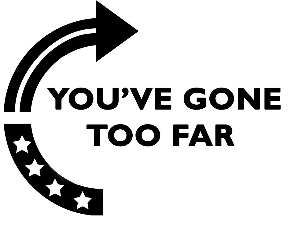 FREEDOM CHARLIE KIRK STAND Vinyl Die Cut Car Decal Sticker – FREE SHIP!!