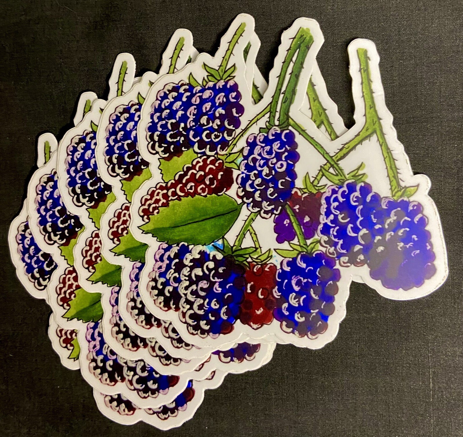 Wildlife Art Stickers Your Choice- 1 Vinyl Sticker: Bee, Snail, Ladybug, Bird