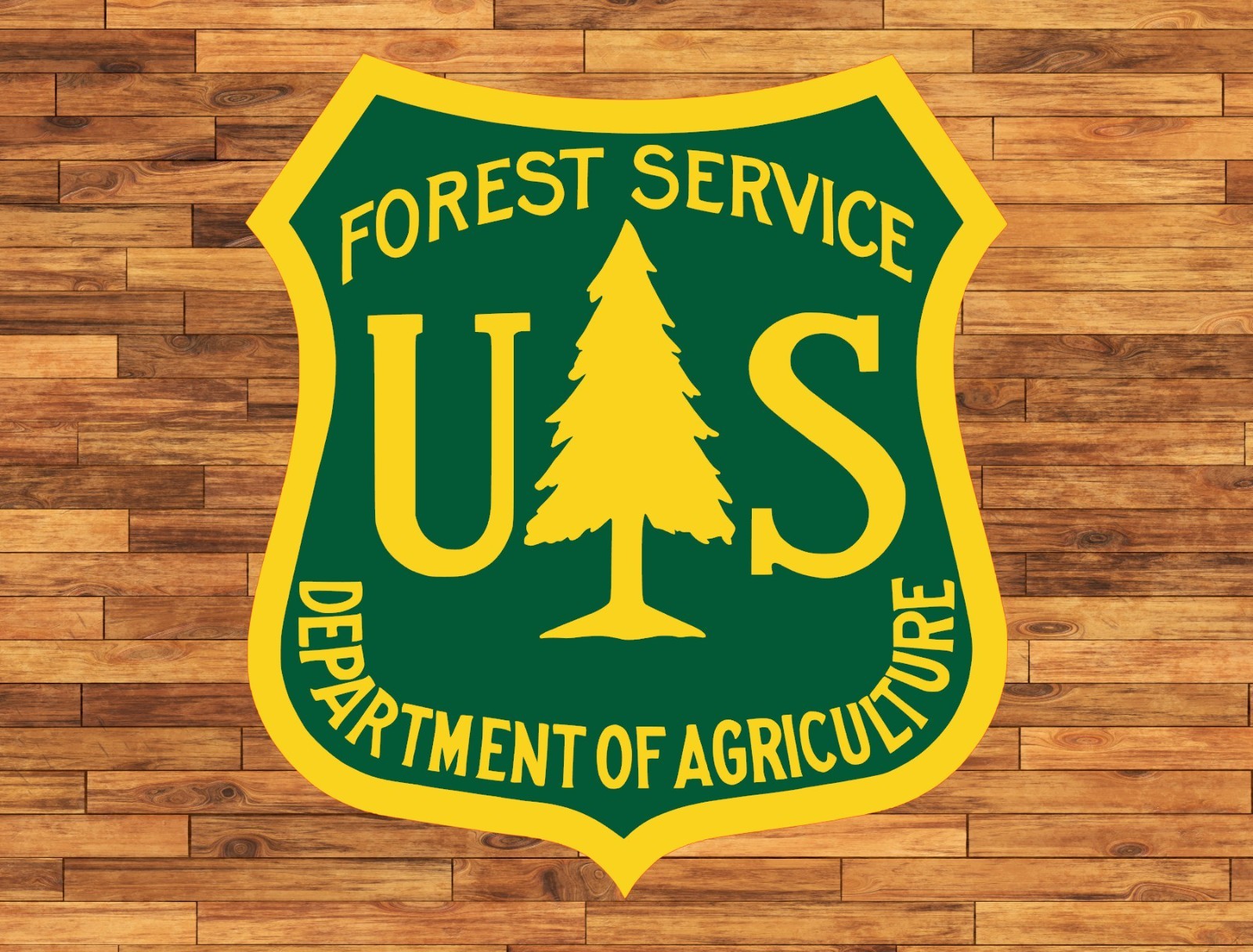 US Forrest Service Water Proof UV Safe Glossy Vinyl Sticker / Decal