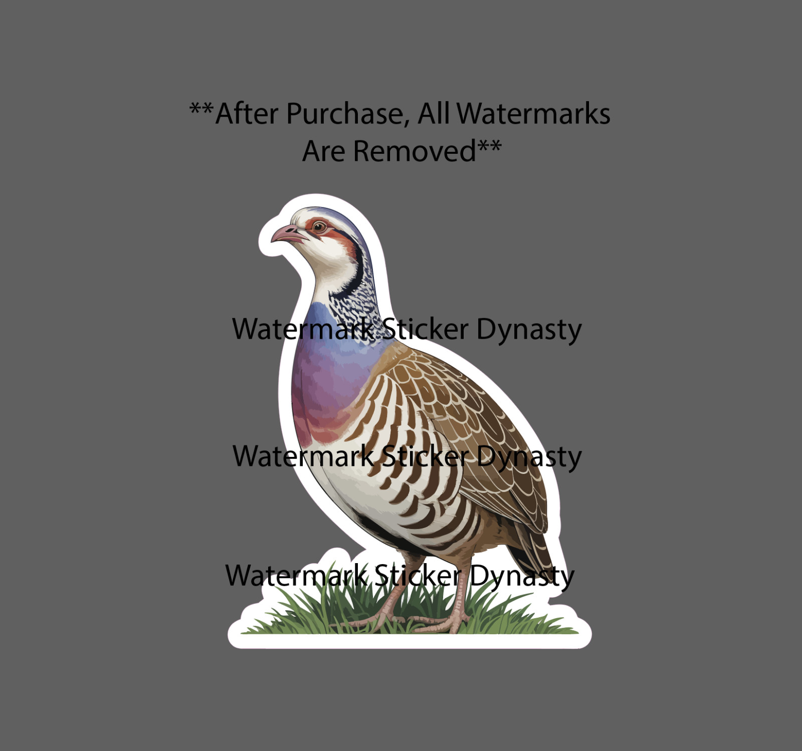 Partridge Sticker Waterproof Decal Bird Animal Outdoor Nature Wildlife Gift NEW