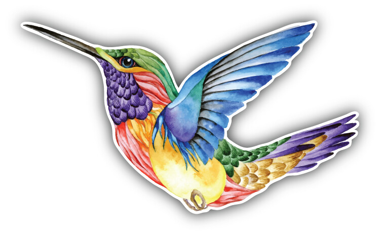 Watercolor Hummingbird Car Bumper Sticker Decal "SIZES"