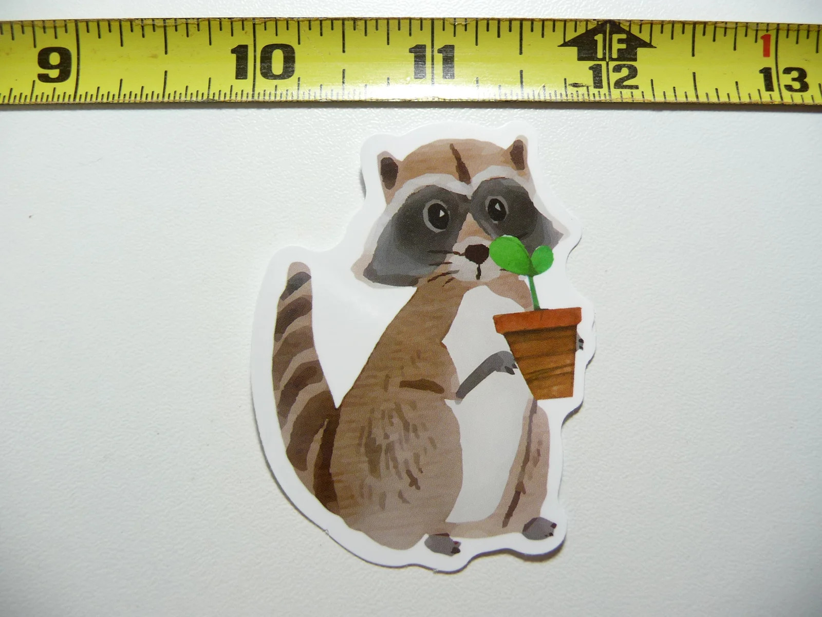 RACCOON PLANT SMALL STICKER DECAL WILD ANIMAL PET BANDIT MASKED FUNNY