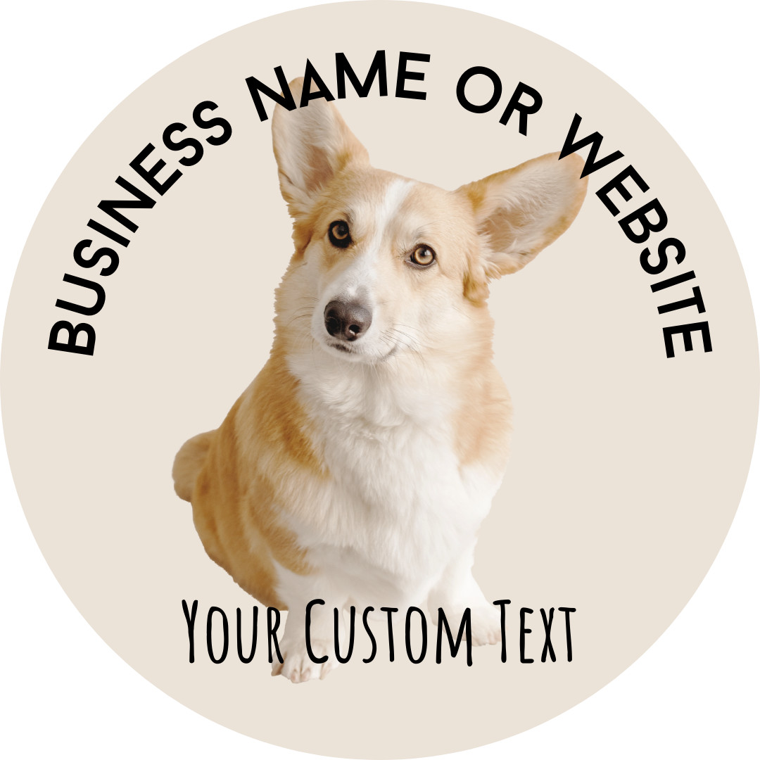 50 2×2 Custom Printed Full Color Outdoor Vinyl Car Bumper Sticker Decal Die Cut