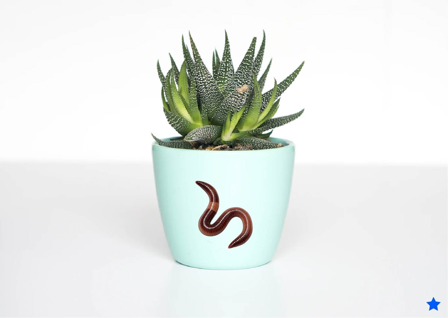 Worm Decal Sticker Earthworm Nightcrawler Fishing Bugs Nature Creepy Bait Garden