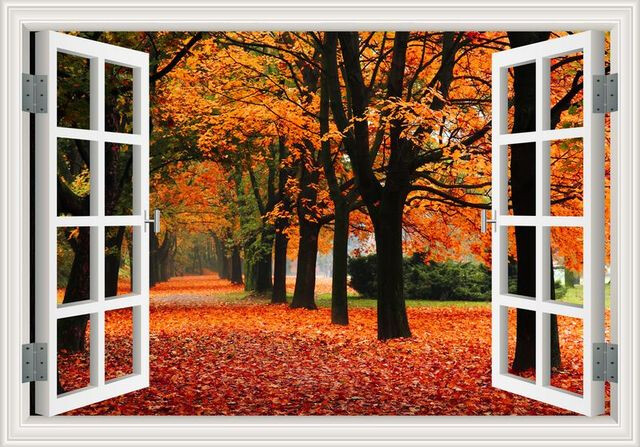 Seasonal 3D Window Removable Wall Sticker Forest View Mural Home Décor