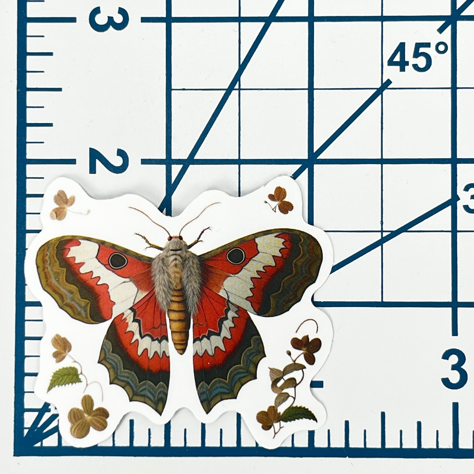 Underwing Orange Floral Moth Vinyl Sticker Vintage Butterfly Insect Journal