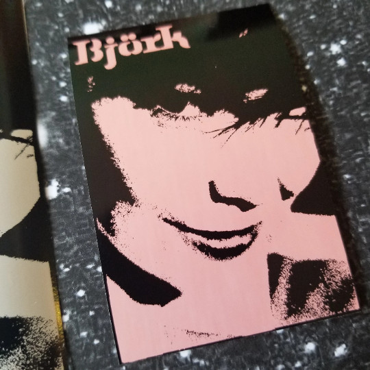 🦇 Bjork 'Joga' 4 x 2" Waterproof Vinyl Sticker Goth Post Punk 💪 HQ Durability
