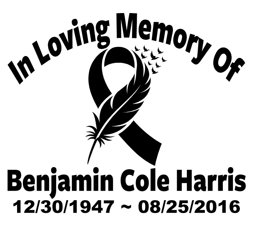 In Loving Memory Decal Cancer Ribbon Wings Bird Feather Car Vinyl Sticker Custom