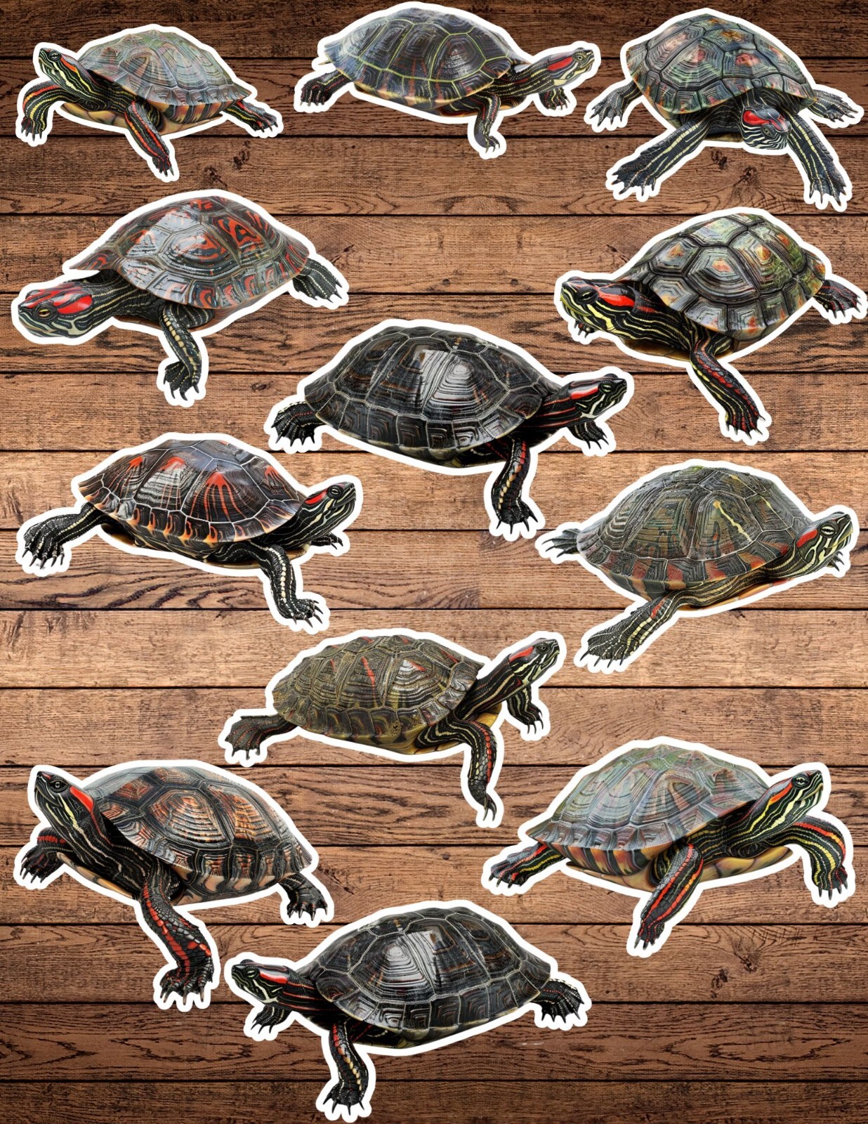 Red Eared Turtle Die Cut Vinyl Stickers Set Notebook Laptop Waterbottle