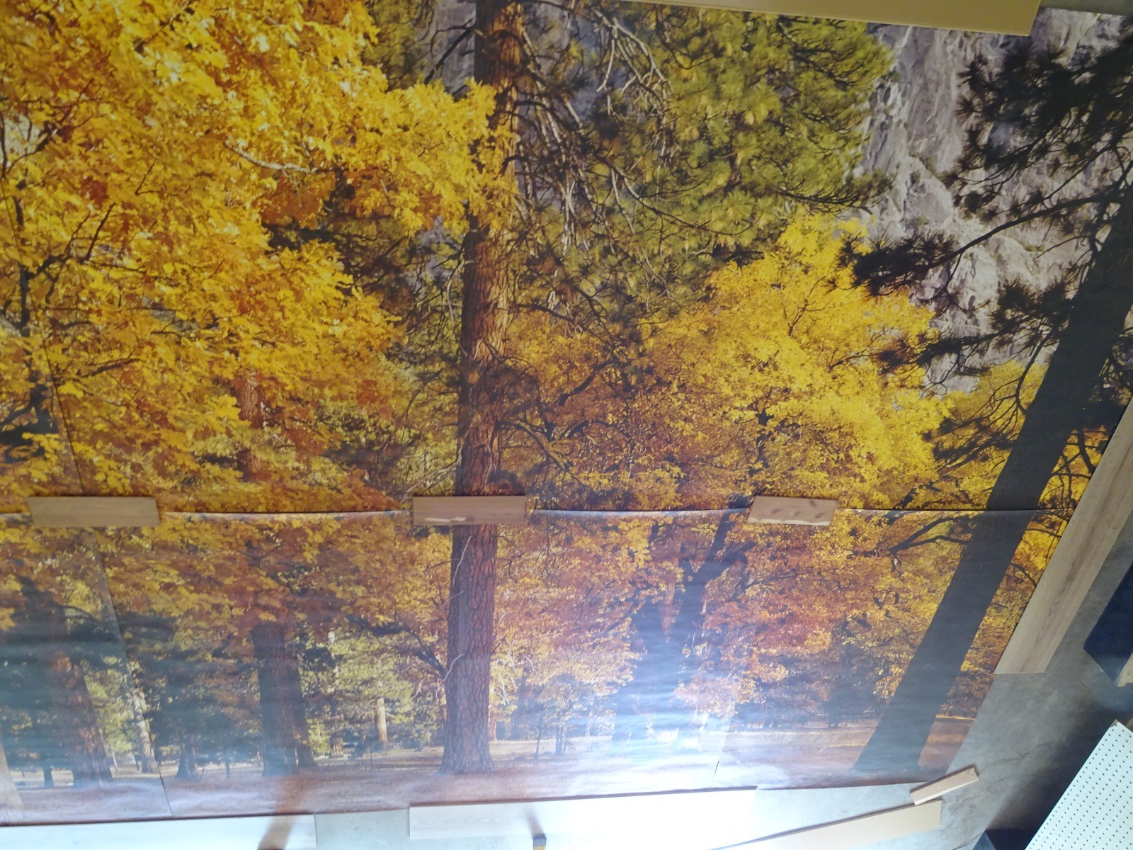Full Wall Photo Mural Autumn Yosemite National Park Josef Muench 8’ 8” x 12’ 6”