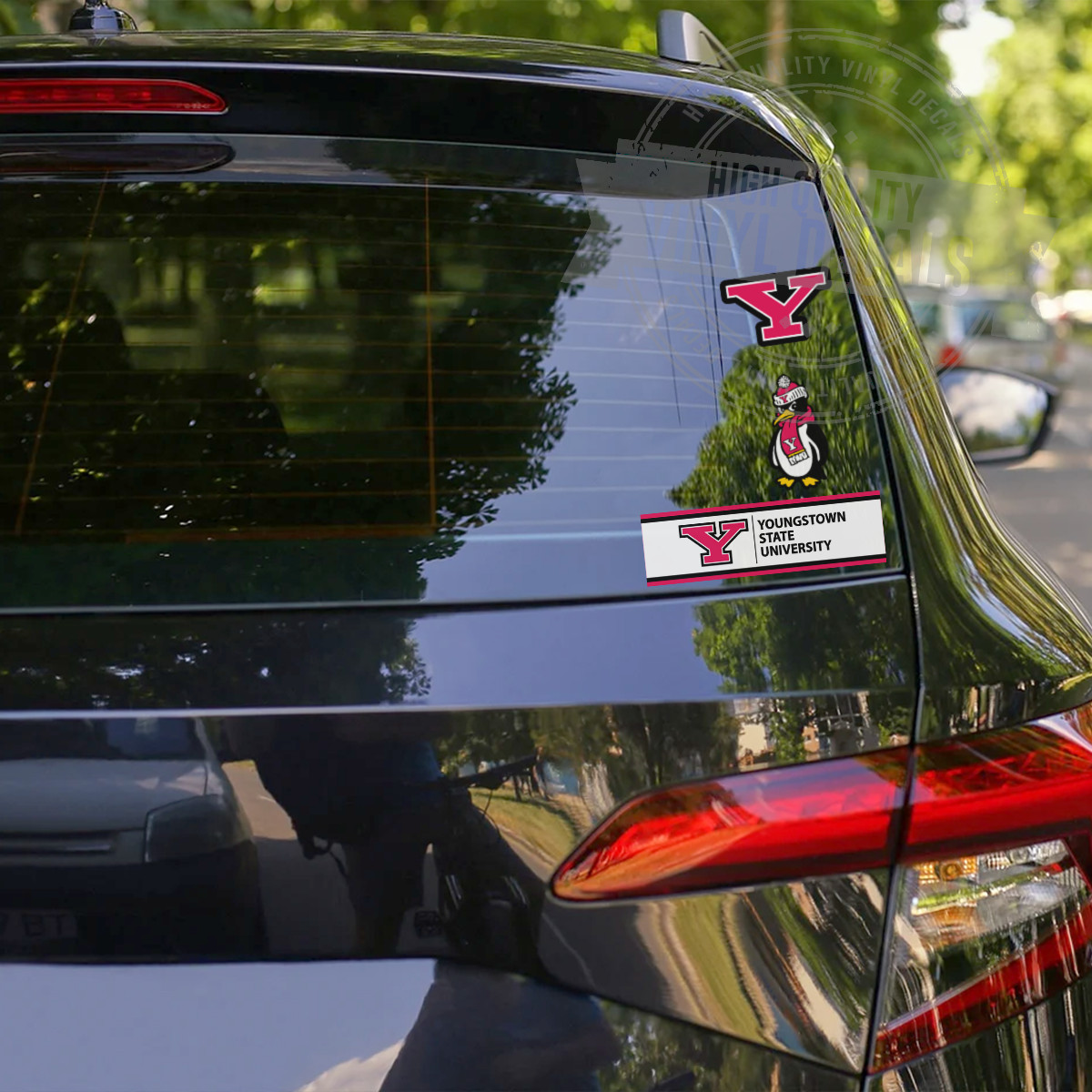 Youngstown State University NCAA A4 High Quality Printed Vinyl Decal Sticker Kit