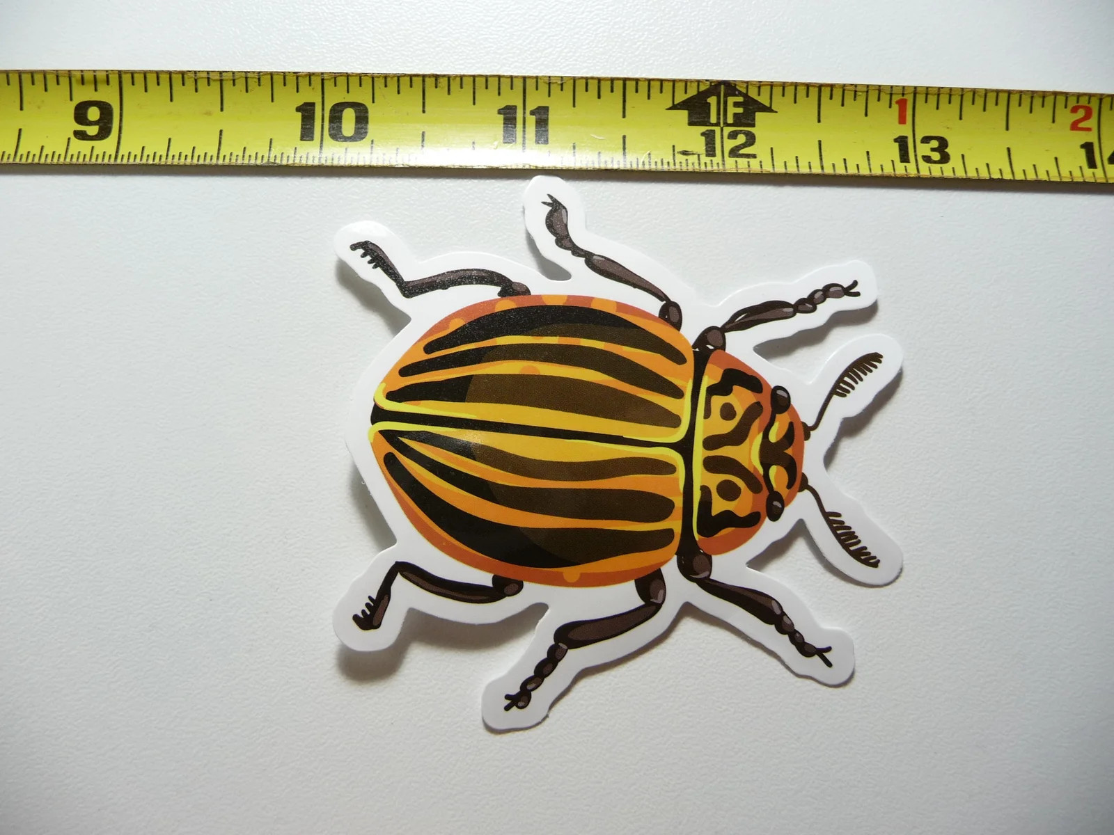COLORADO POTATO BEETLE SMALL STICKER DECAL BUG INSECT FUN FUNNY