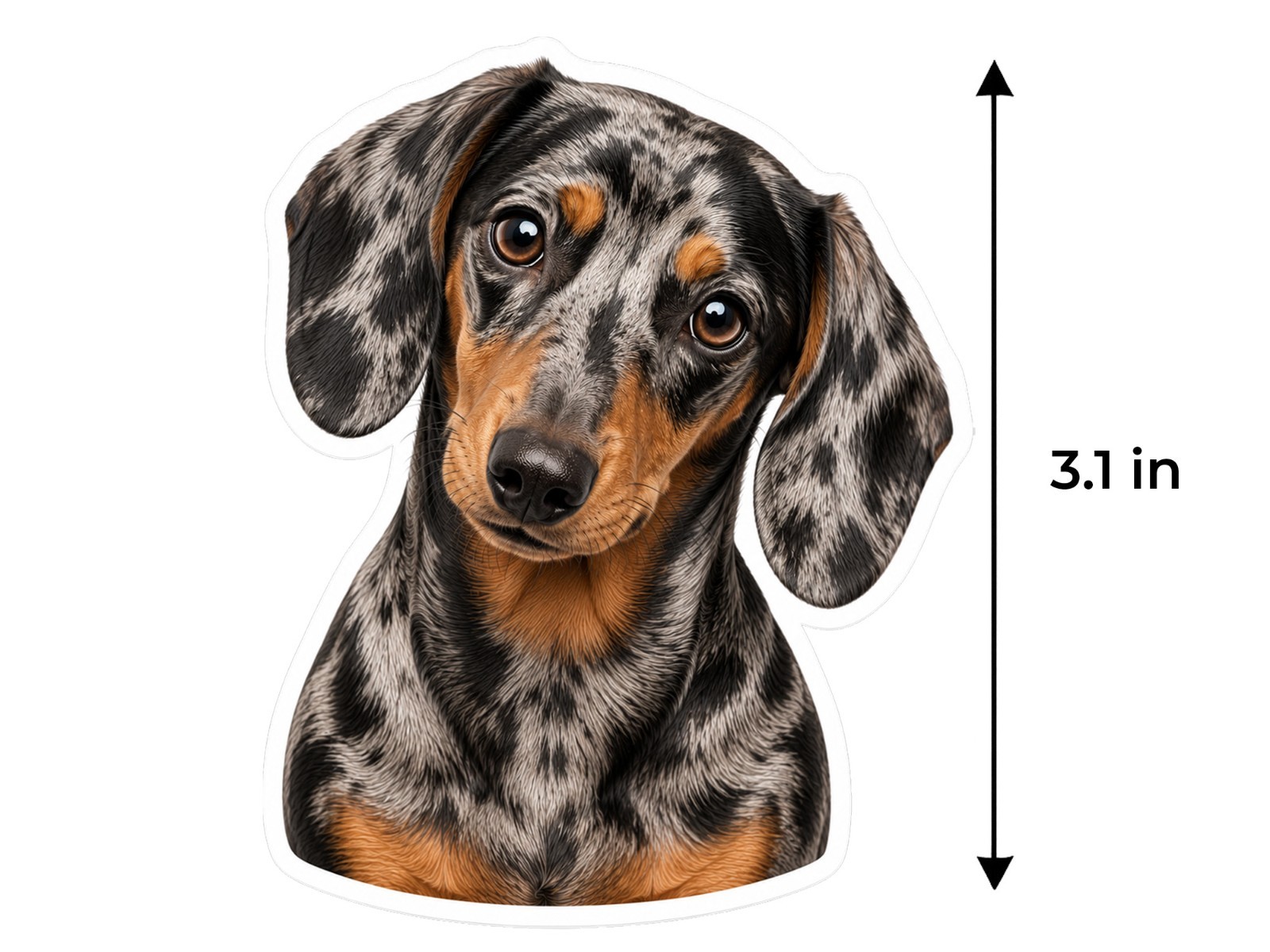 Dachshund Dog Decal Sticker Weather Resistant Car Laptop Window