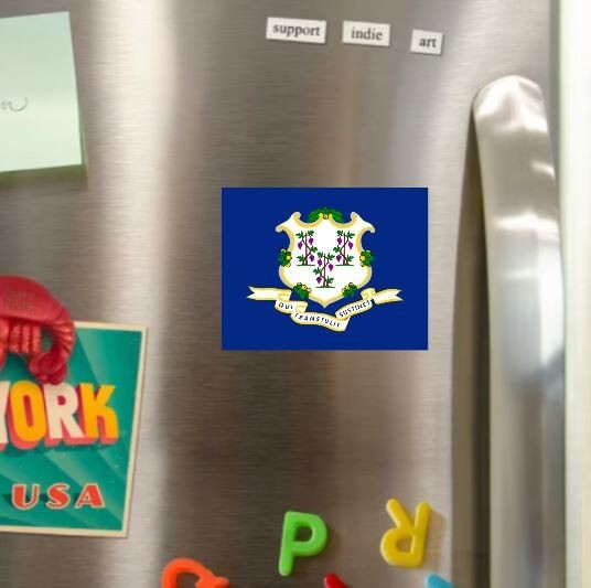 Connecticut State Flag Die Cut Glossy Fridge Magnet
