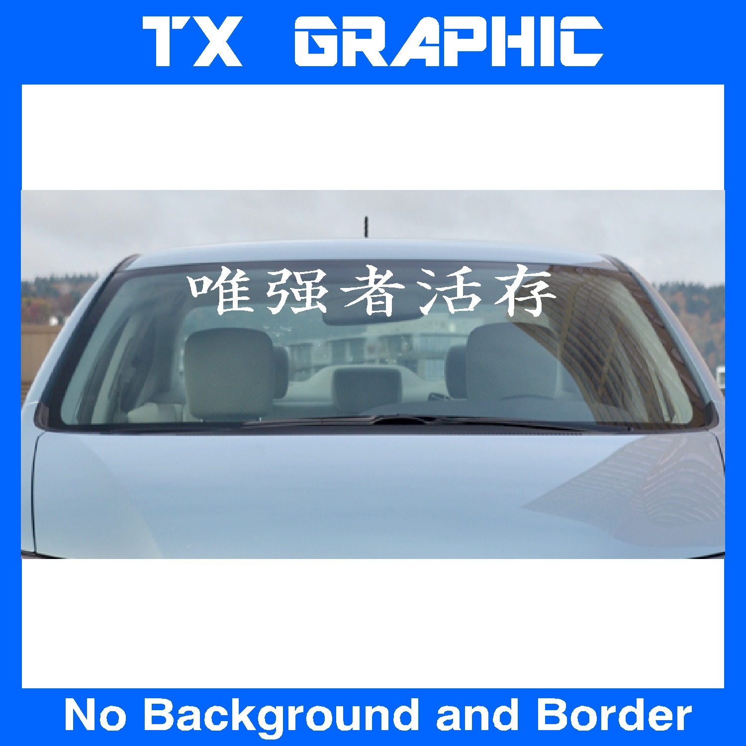 KANJI CHINESE CHARACTER STRONG SURVIVE STICKER VINYL LETTERING CUSTOM