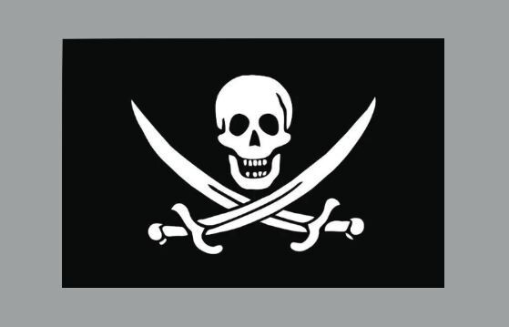Jolly Roger Flag Die Cut Glossy Fridge Magnet