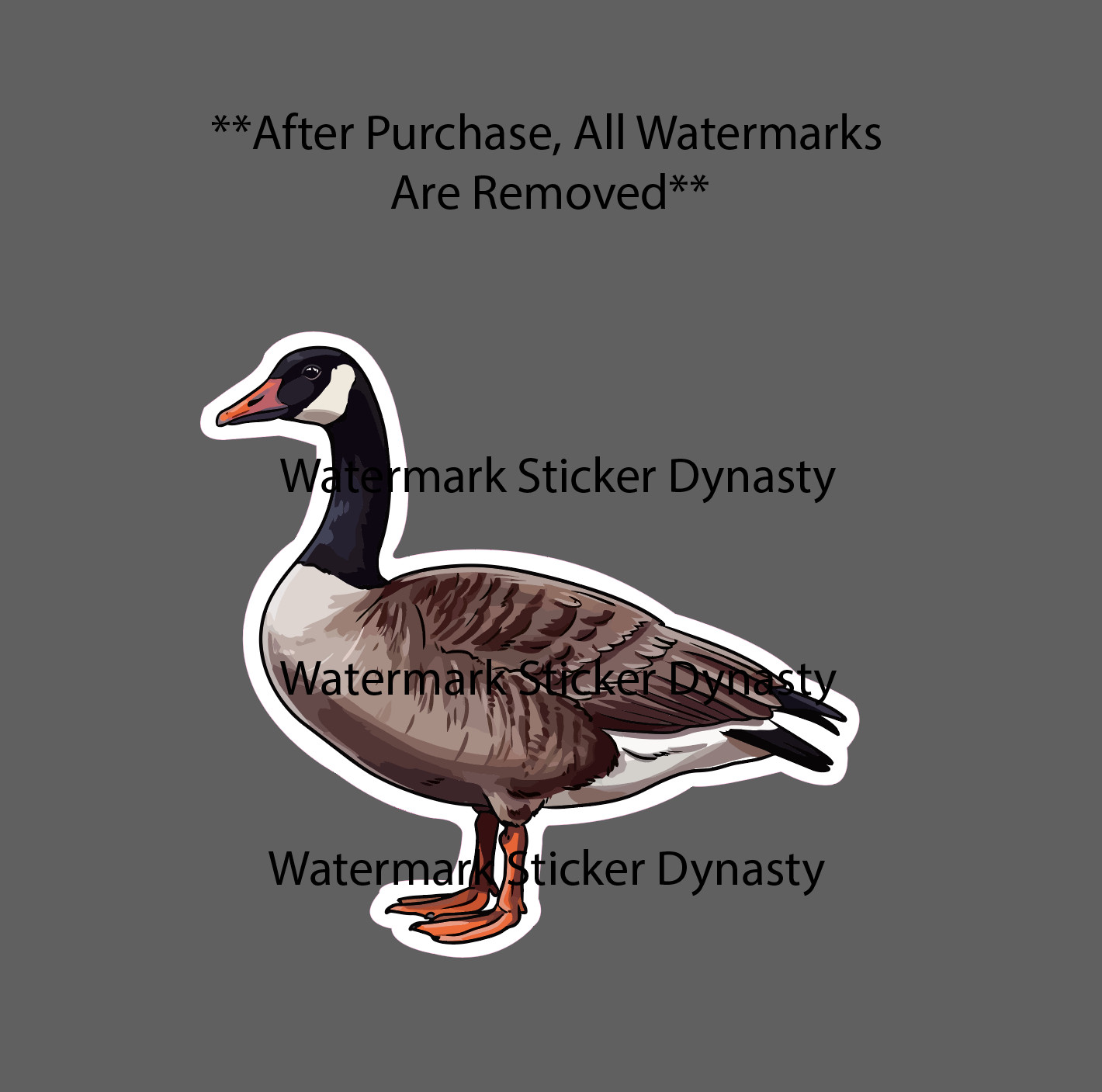 Canada Goose Sticker Waterproof Decal Bird Animal Outdoor Wildlife Gift NEW