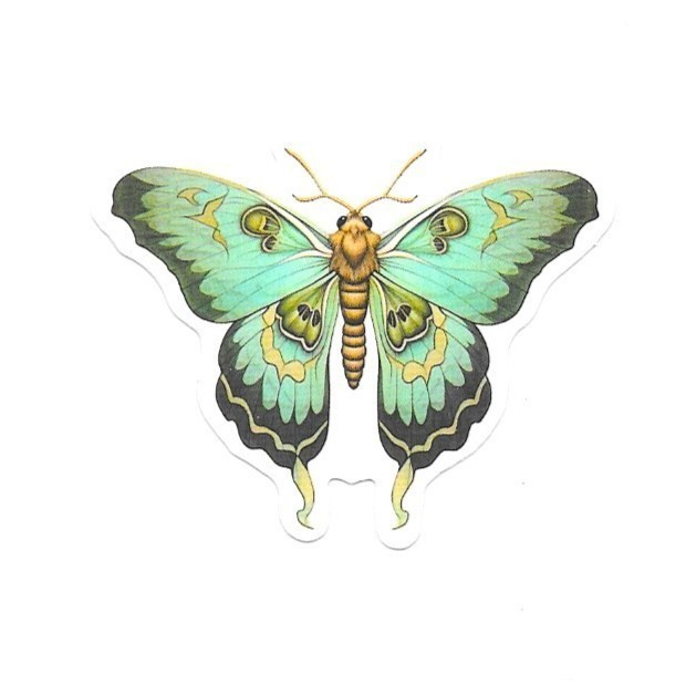 Mint Gold Swallowtail Moth Vinyl Sticker Vintage Butterfly Insect Journal Laptop