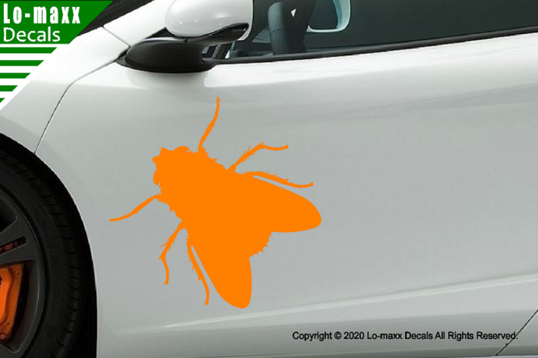 Fly Housefly Original Custom Graphic Art Superior Quality Die Cut Vinyl Decal