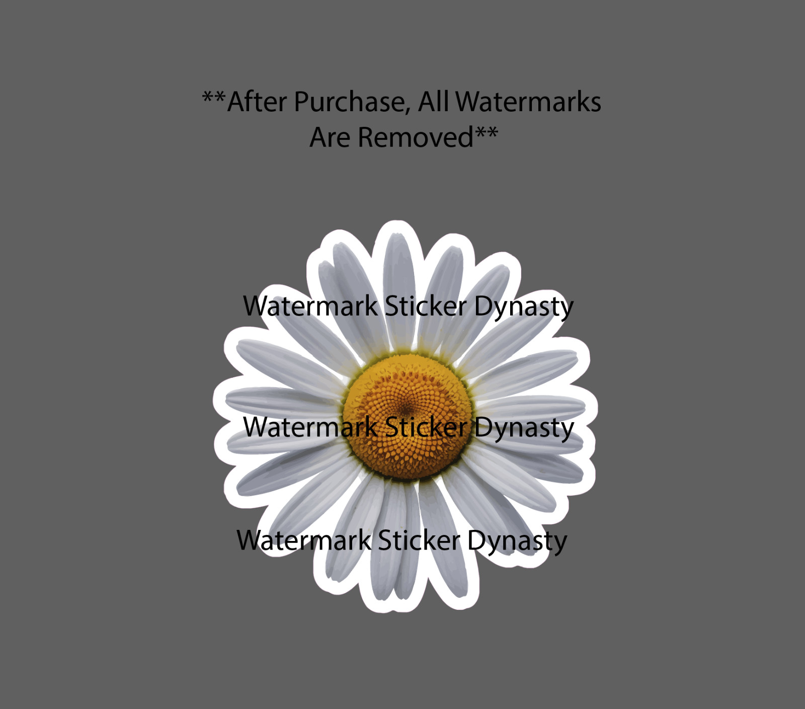 Daisy Sticker Waterproof Decal Flower Floral Garden Nature Gift NEW