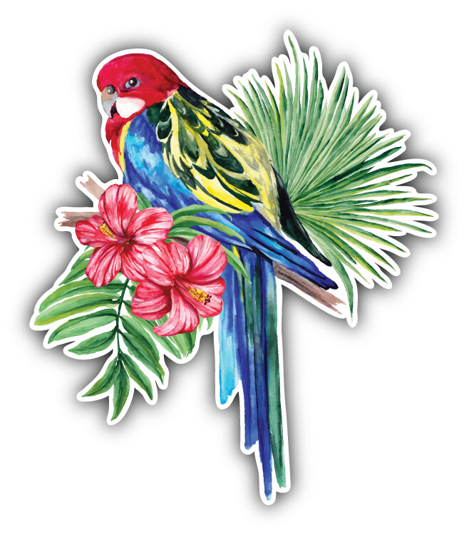 Watercolor Parrot Car Bumper Sticker Decal