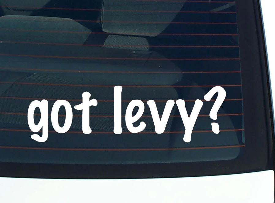 got levy? FUNNY VINYL CAR DECAL STICKER FAMILY LAST NAME