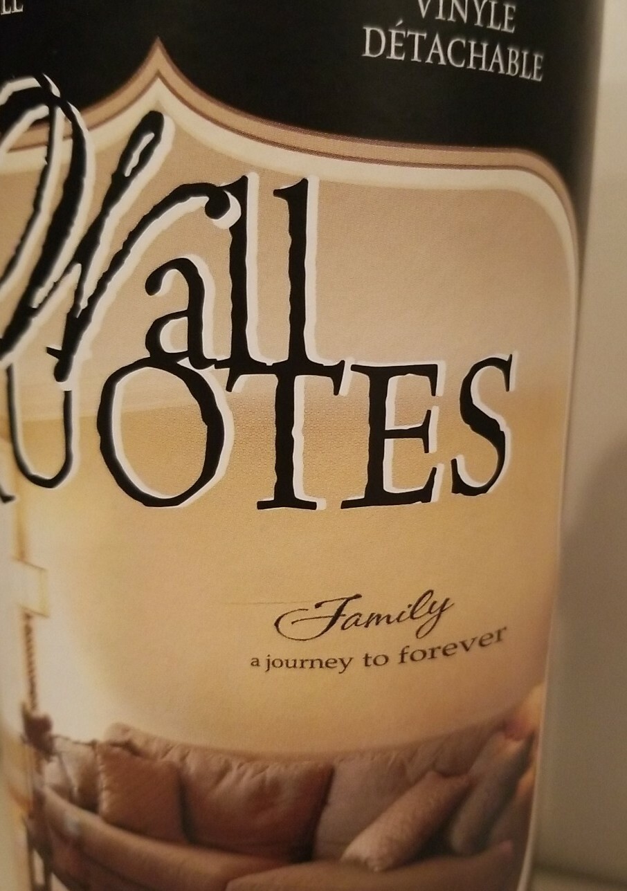DCWV Home Vinyl Wall Quotes ~ Removable Lettering Decal ~ Family Forever