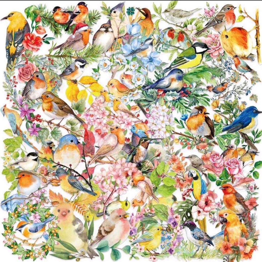 20 Pcs Multicolor Birds & Floral Decal Stickers Multiple Designs