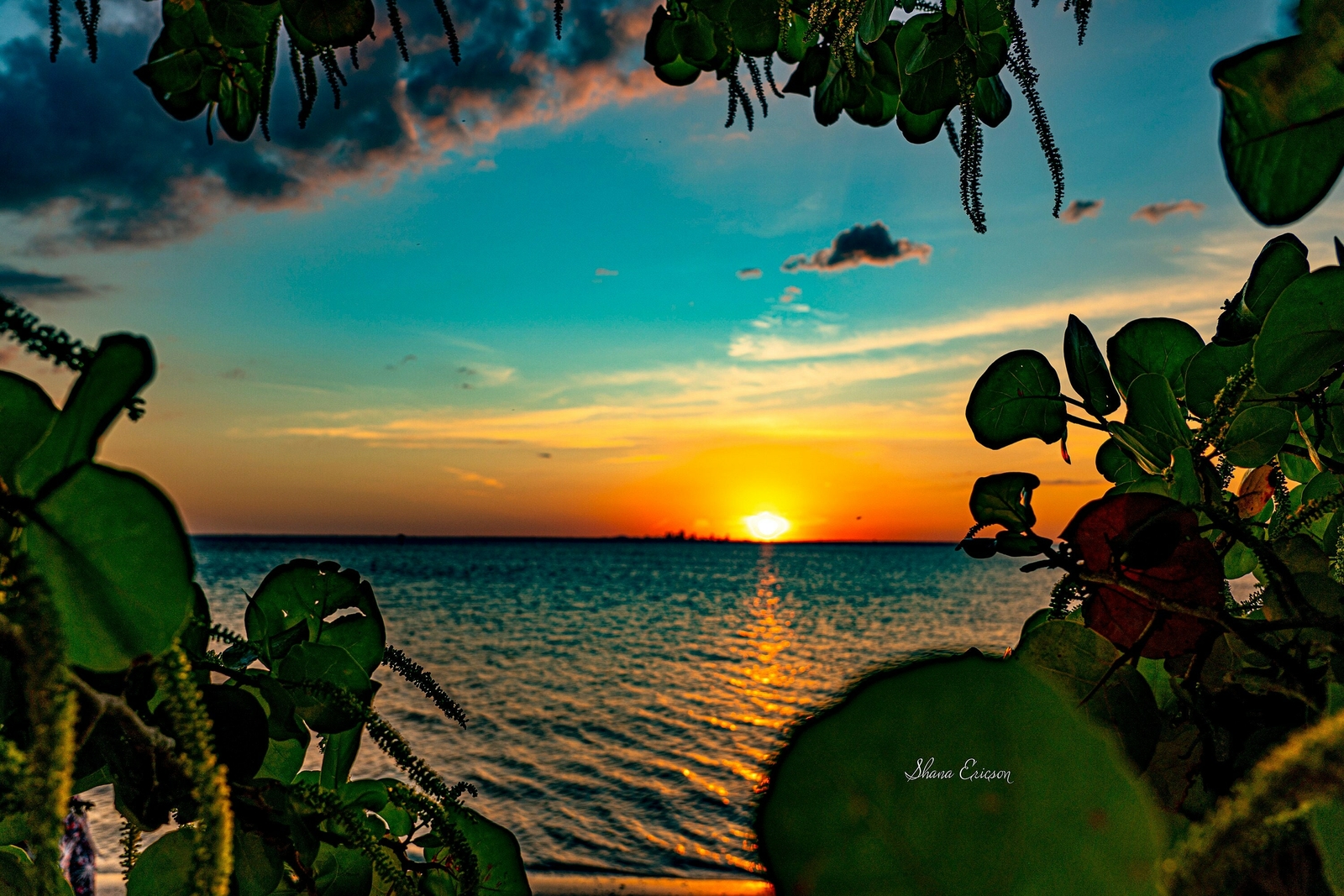 Premium canvas mounted ruskin florida -tiki bar beach bar sunset beach print