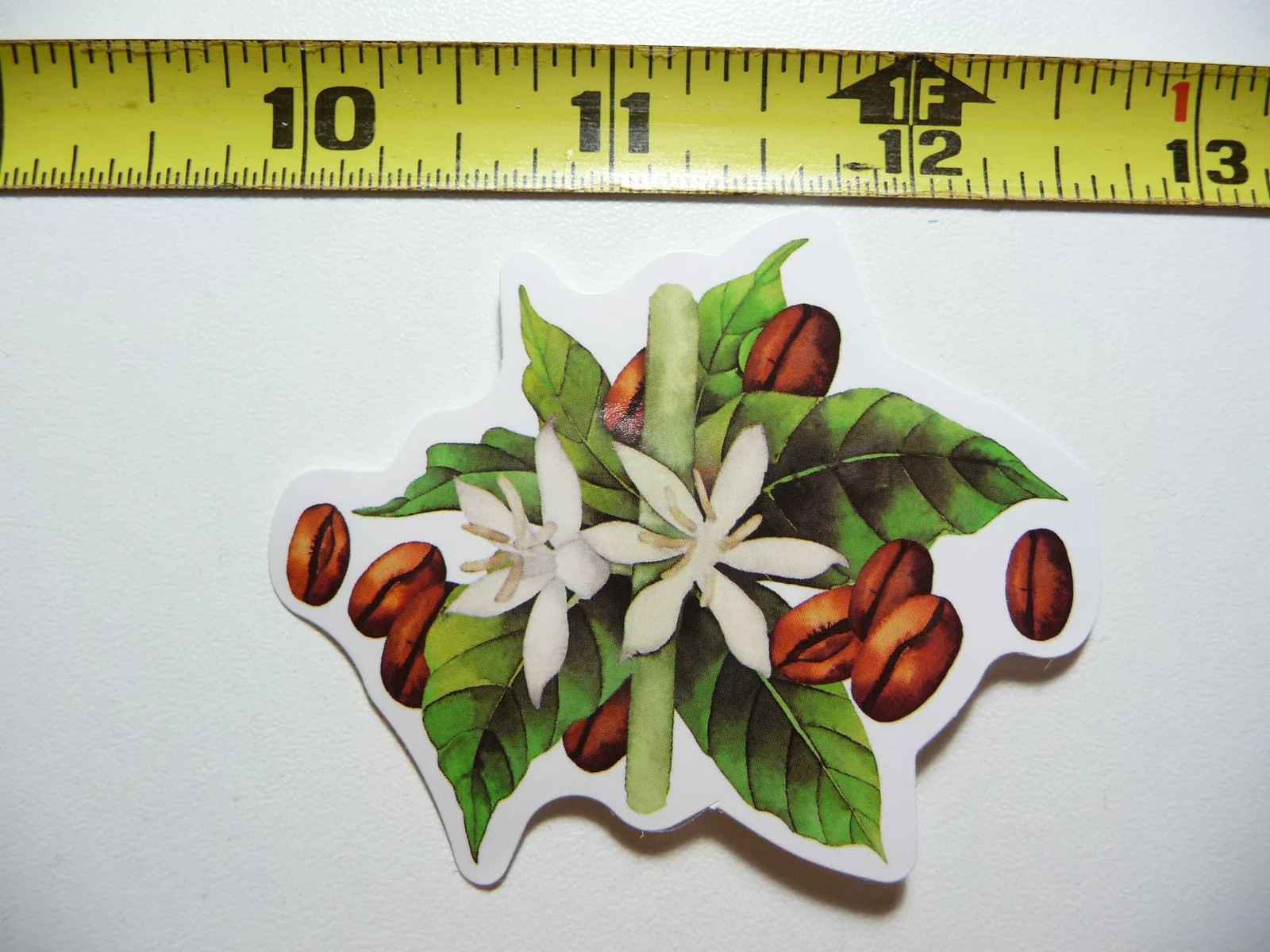 COFFEE PLANT BLOOMS BEANS SMALL STICKER DECAL BEVERAGE MORNING WAKE UP FUN