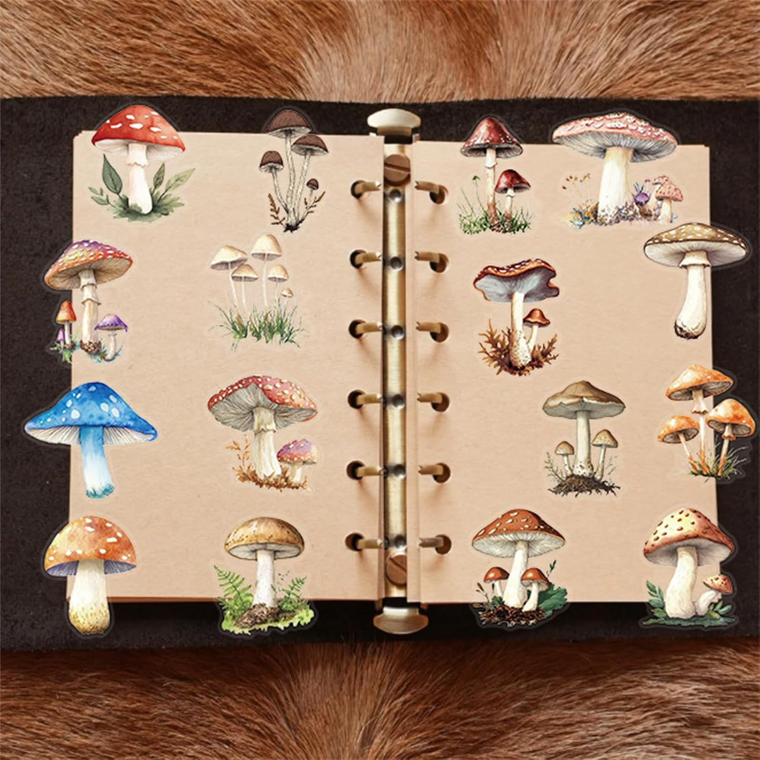 50PCS Retro Mushroom Stickers PET Transparent Stickers Nature Decals Waterproof