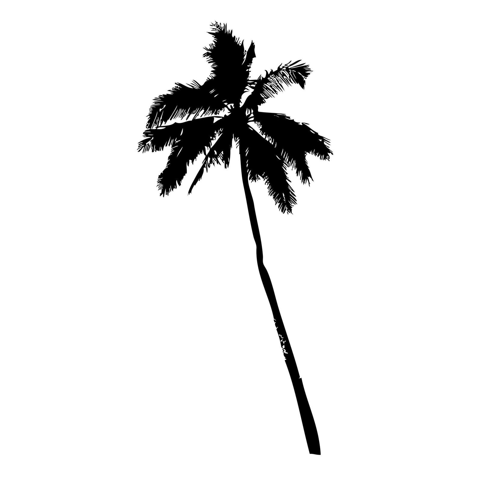 Tropical Palm Tree Vinyl Wall Decal Sticker. #JH238
