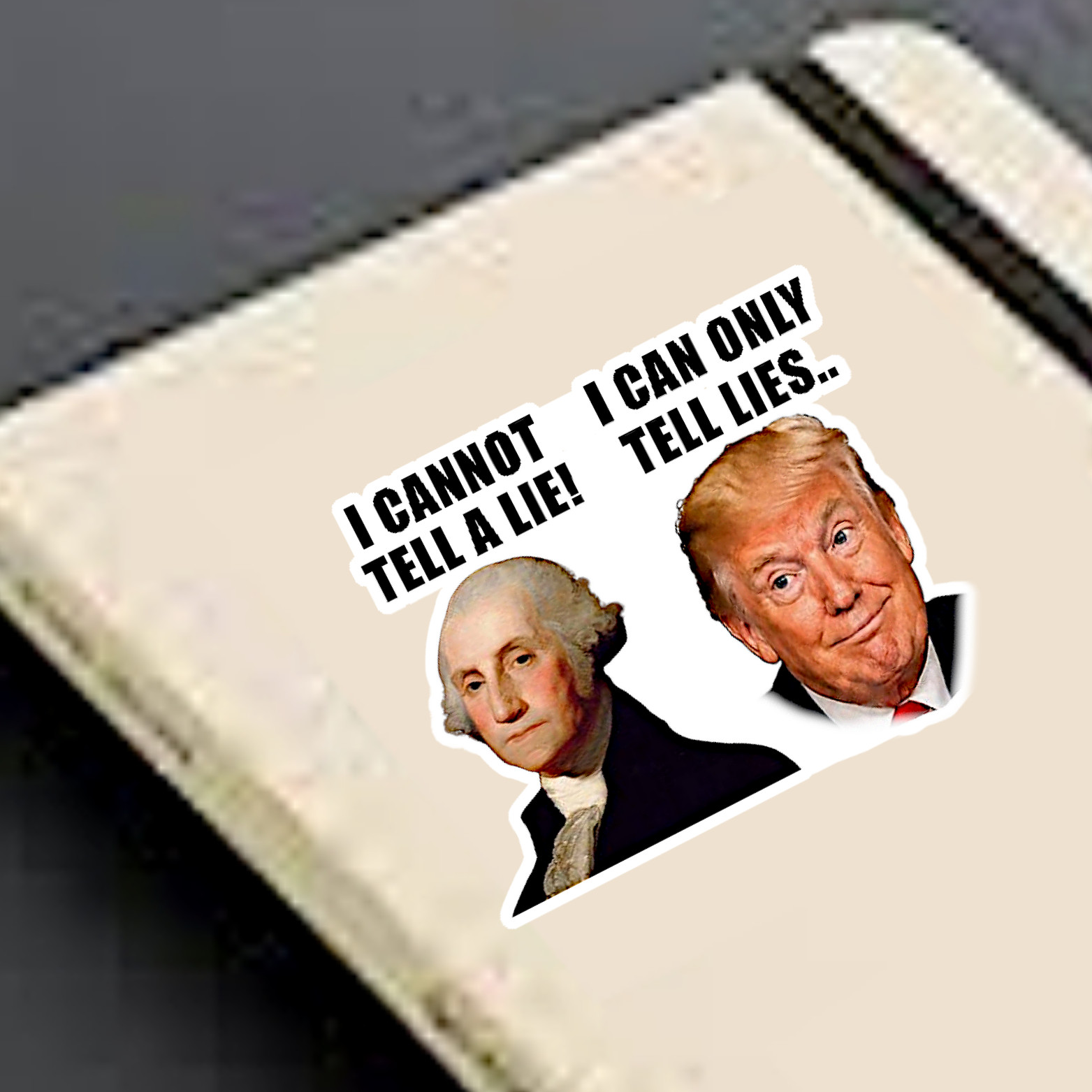 I Can Only Tell Lies, 5pc Bundle Anti-Trump Die Cut Vinyl Sticker, 2"W x 1.75"H