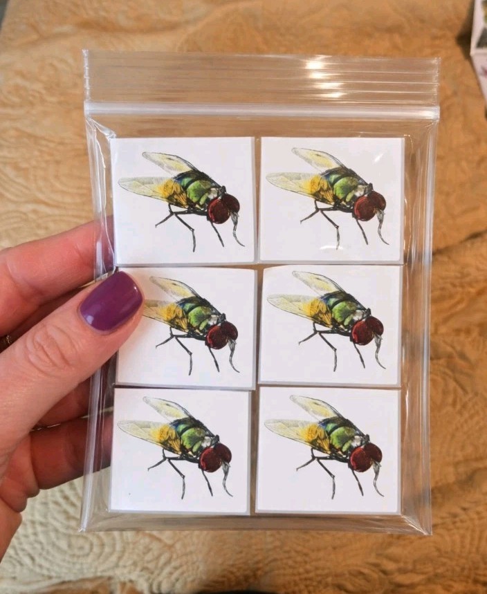 Set of 6 Fly Stickers 2×2 – Hand Drawn Insect Art – Original Illustration Decals