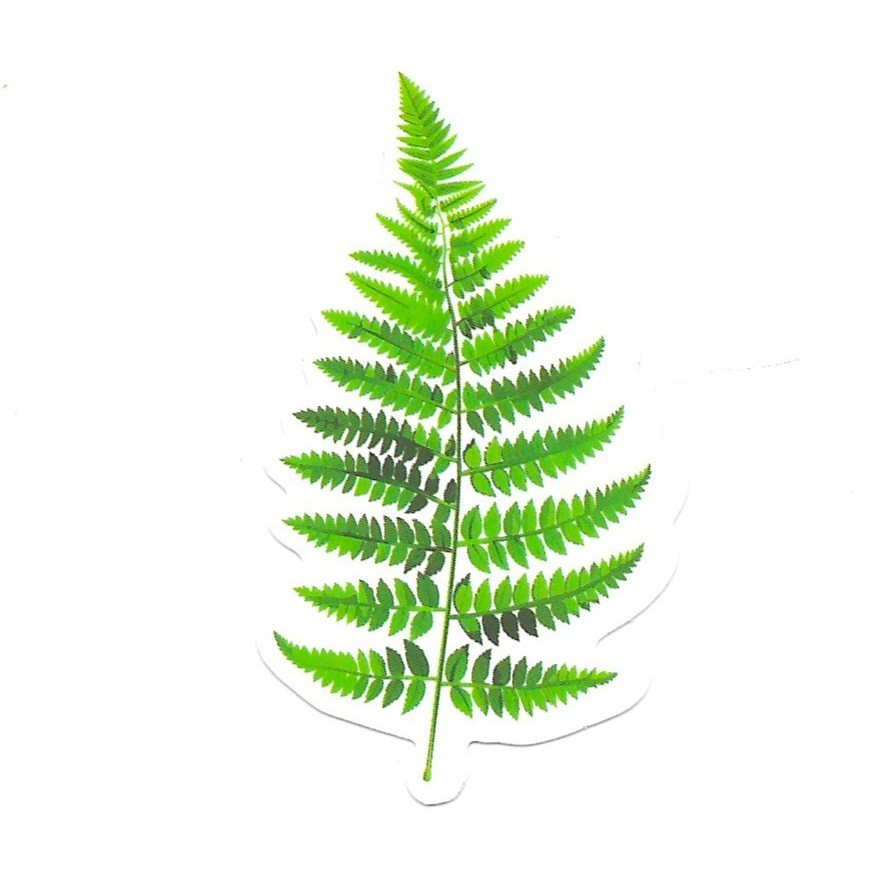 Fern Frond Vinyl Sticker Die Cut Nature Leaf Botanical Journal Scrapbook