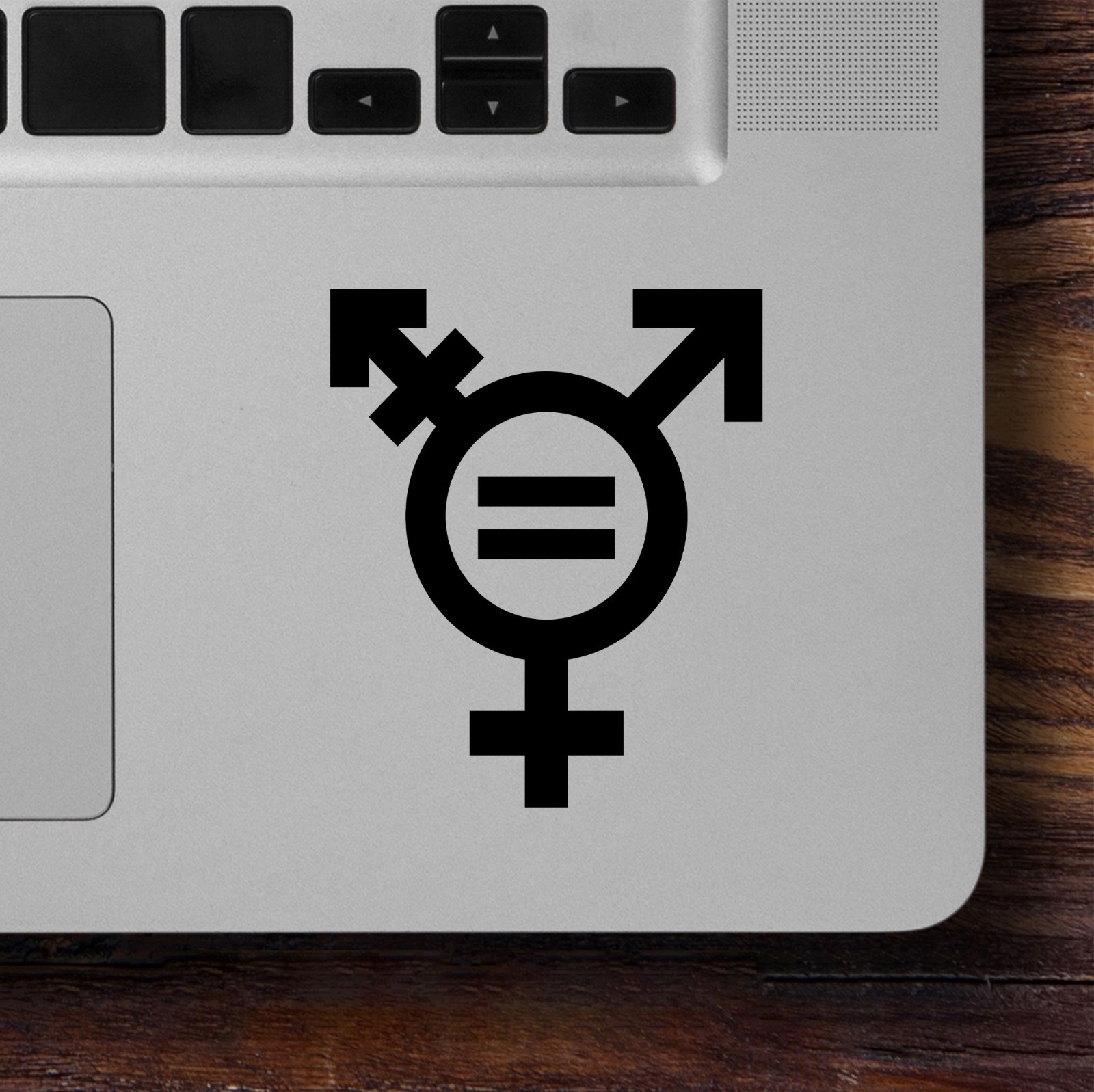 TRANSGENDER EQUALITY SYMBOL Vinyl Sticker – Gender Identity Icon – Die Cut Decal