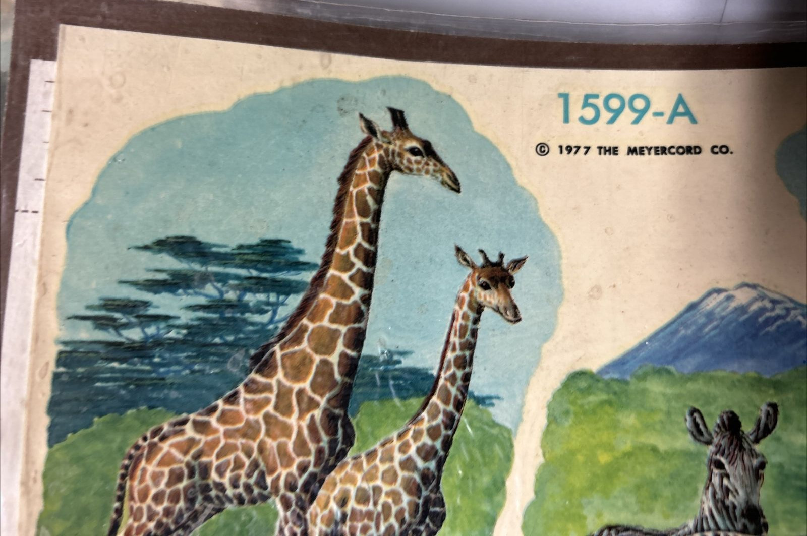 Vintage Meyercord Decals Safari Animals Retro Decor Zebra Giraffe Elephant Zoo