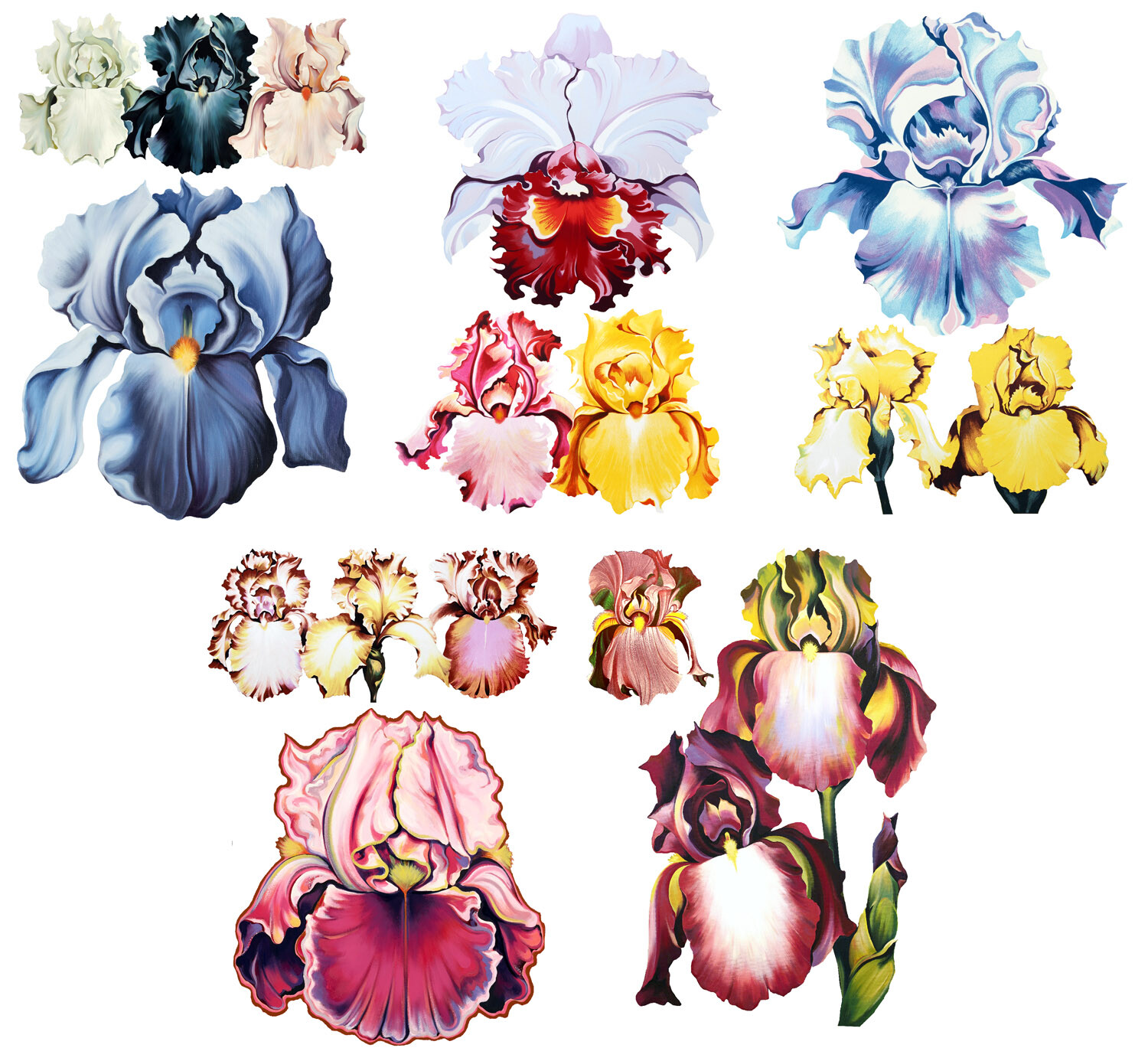 Vinyl Wall Stickers/VINTAGE COLORFUL IRIS FLOWERS/Waterproof, Outdoor, Wall-Safe