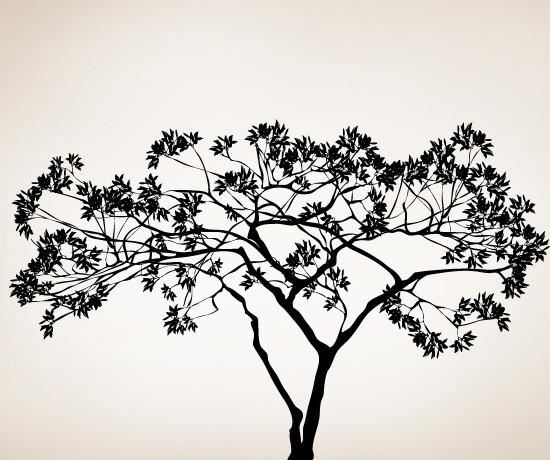 Wide Tree Wall Decal. Tree Branches Spread Wide. #AC156