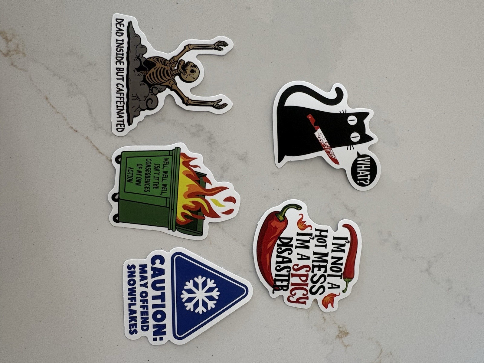 Set Of 5 Funny Quirky Sayings Stickers Skeletons Cats Words Quotes