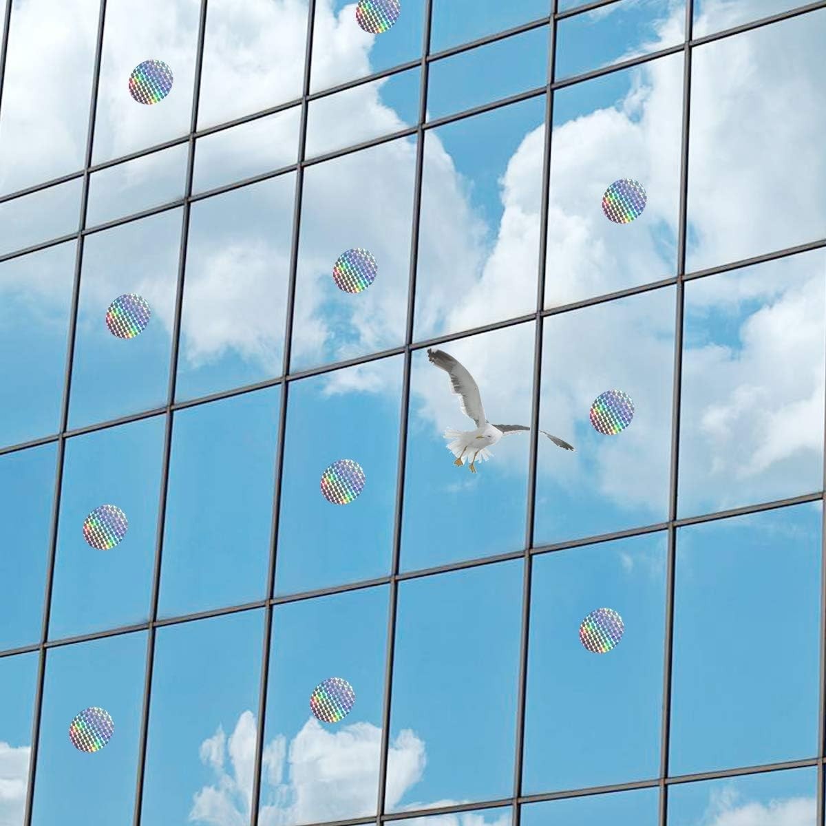 Holographic Bird Protection Window Decals – 20 Circular Stickers for Safety