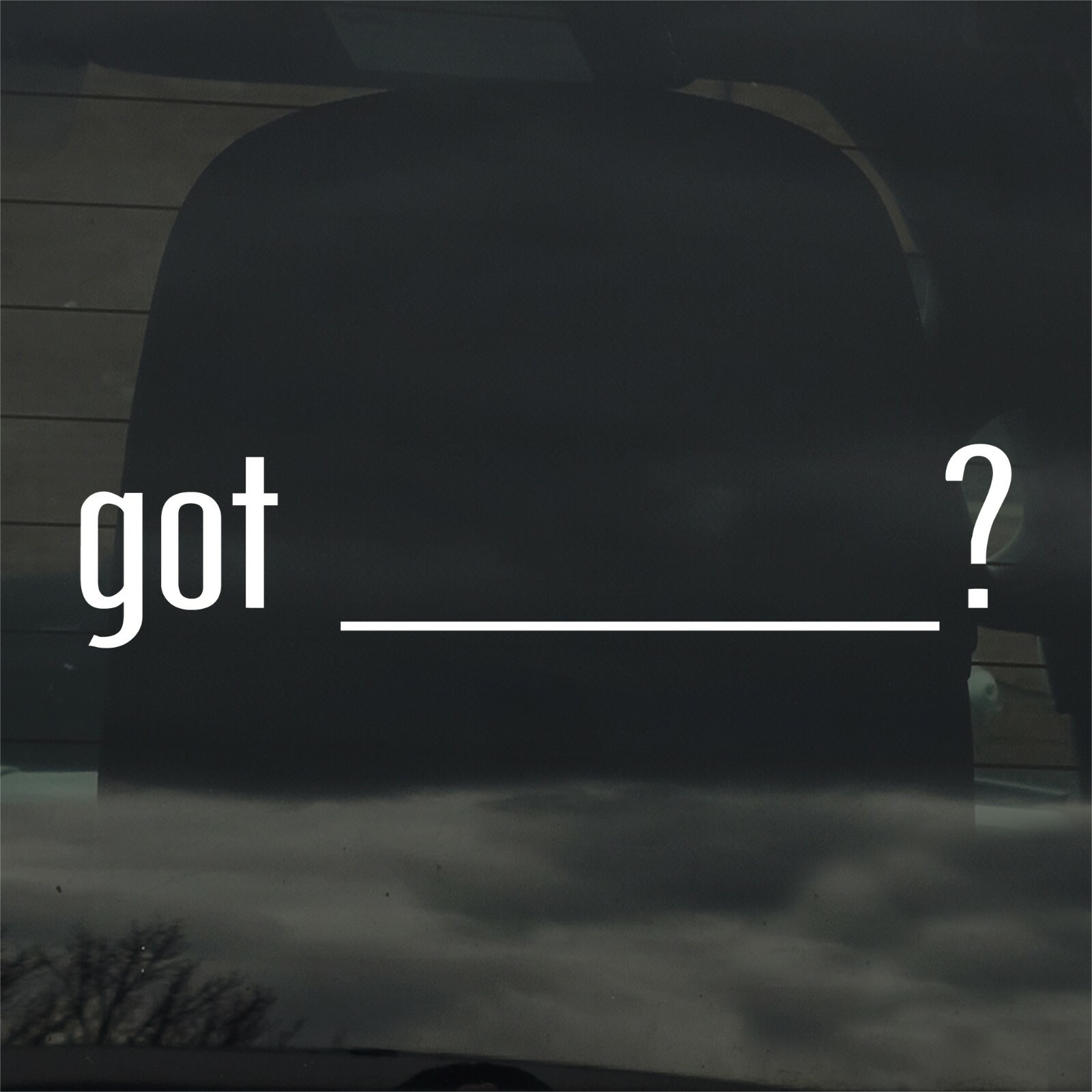 Got ______? Add Your Own Custom Text Vinyl Sticker / Decal