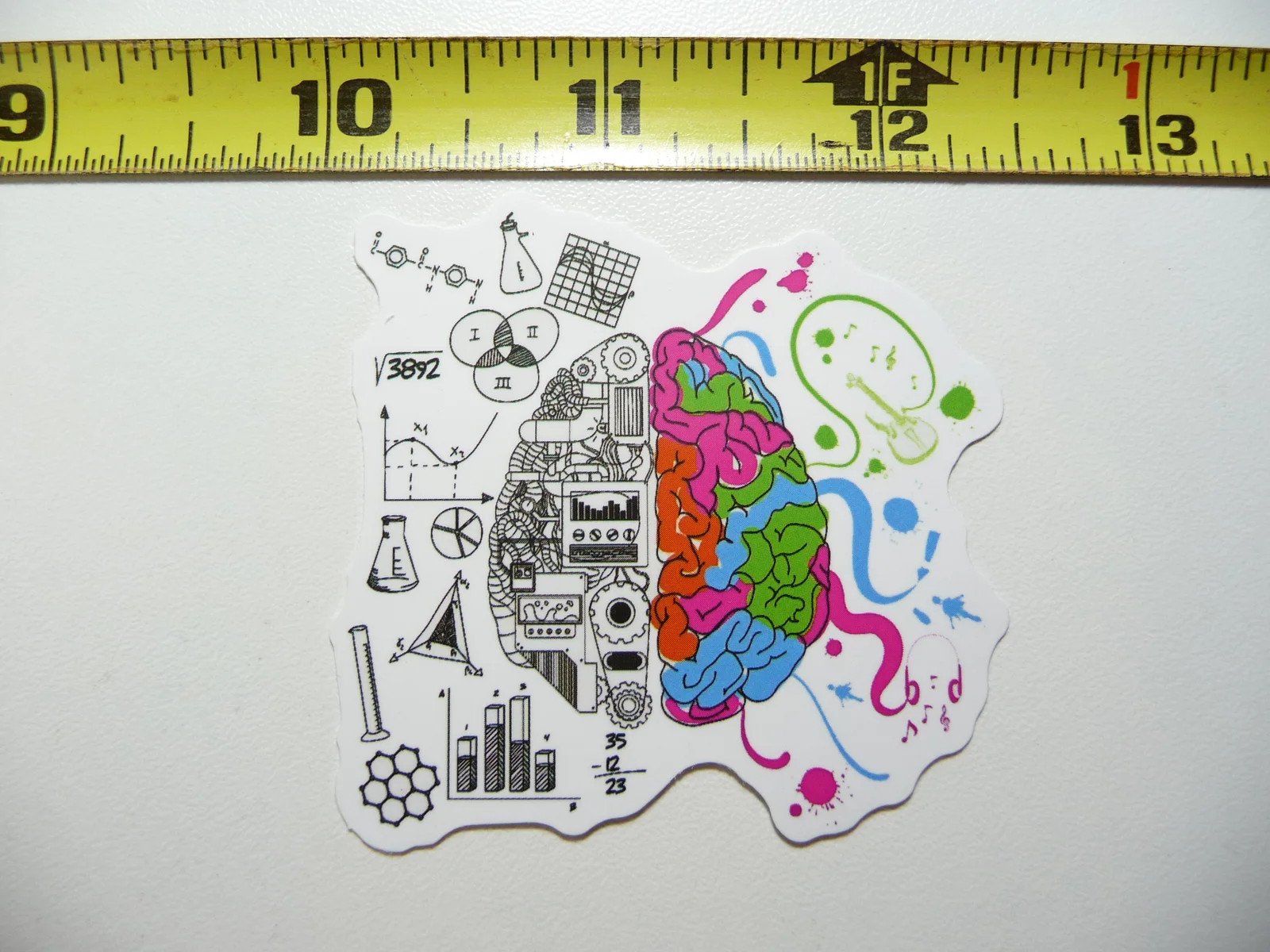 BRAIN SECTIONS CREATIVE REASON SMALL STICKER DECAL SCHOOL COLLEGE TEACH TEACHING